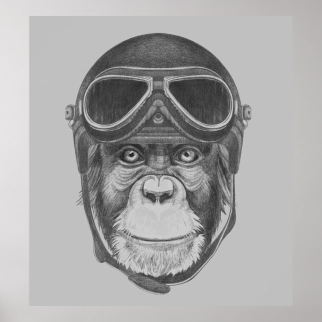 Vintage Helmet Chimpanzee Poster (Front)