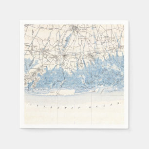 Vintage Hempstead Long Beach Long Island New York Napkin