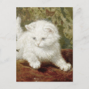 Vintage Henriette Ronner-Knip Curiousity Postcard