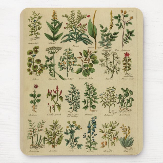 Vintage Herbal Mouse Pad (Front)