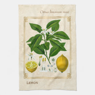 Vintage Herbal Plant Lemon Fruit Botanical Art Kitchen Towel