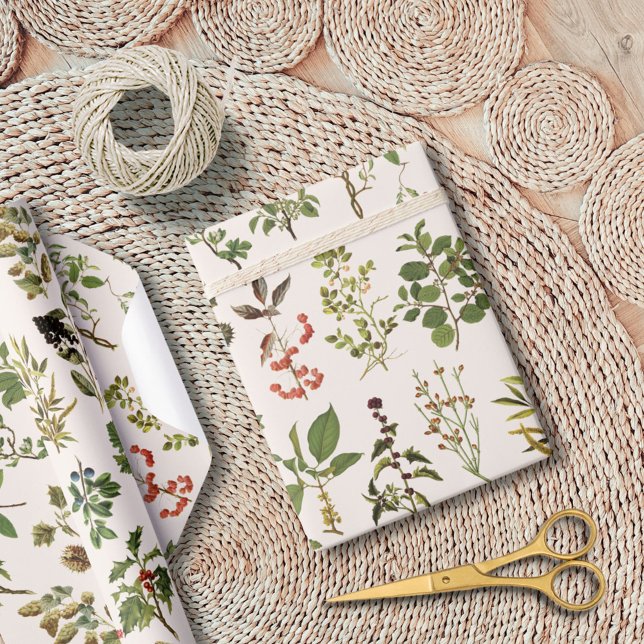 Vintage Herbarium Green Plant Pattern Wrapping Paper (In situ)