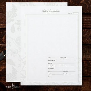 Vintage Herbarium Plant White Specimen Sheet