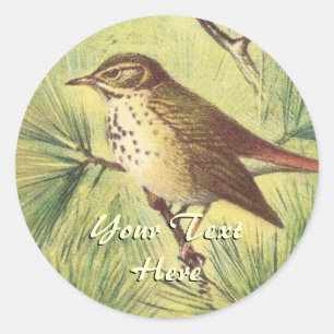 Vintage Hermit Thrush Stickers