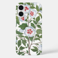 Vintage Hibiscus Flowers by Basilius Besler