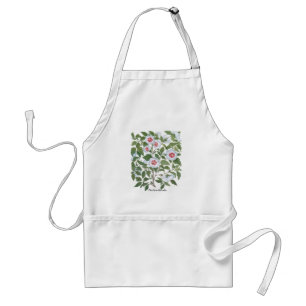 Vintage Hibiscus Flowers by Basilius Besler Standard Apron
