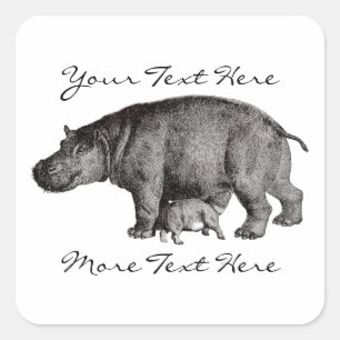 Vintage Hippo Stickers