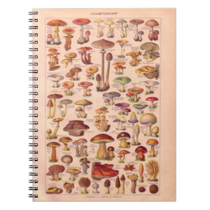 Vintage historic,  Mushrooms Notebook