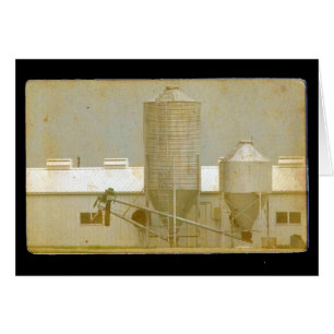 Vintage Hog Barn