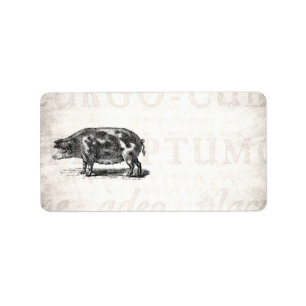 Vintage Hog Illustration on Old Paper 1800s Pig Label