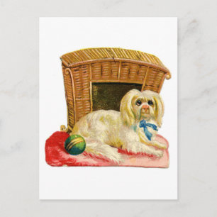 Vintage Holiday Dog Postcard
