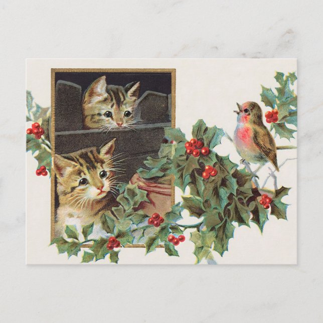 Vintage holly cats and bird christmas holiday postcard (Front)