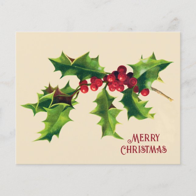 Vintage Holly Christmas Greeting  (Front)