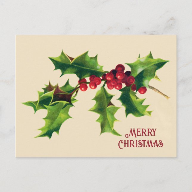 Vintage Holly Christmas Greeting  Holiday Postcard (Front)