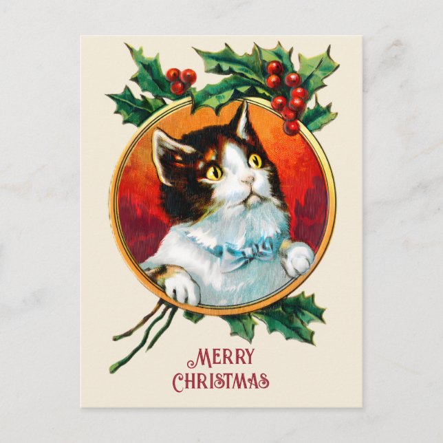 Vintage holly cute cat christmas holiday postcard (Front)