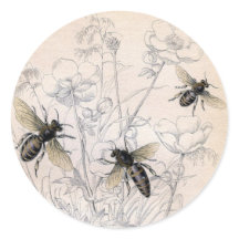 Vintage Honey Bee Art Print