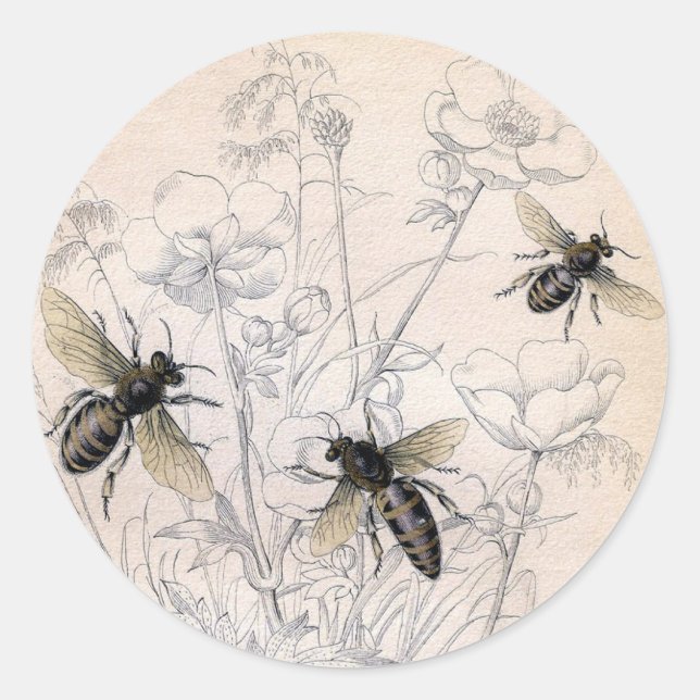 Vintage Honey Bee Art Print Classic Round Sticker (Front)