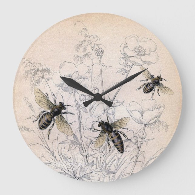Vintage Honey Bee Art Print Large Clock (Front)