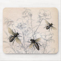 Vintage Honey Bee Art Print
