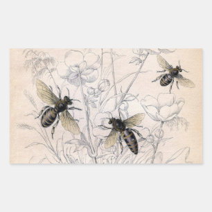 Vintage Honey Bee Art Print Sticker