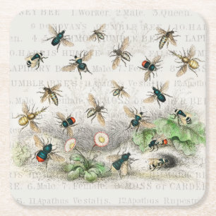 Vintage Honey Bee Queen Bee Entomology Botanical Square Paper Coaster