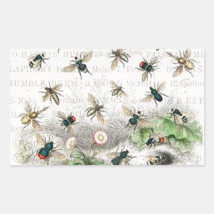 Vintage Honey Bee Queen Bee Entomology Botanical Sticker
