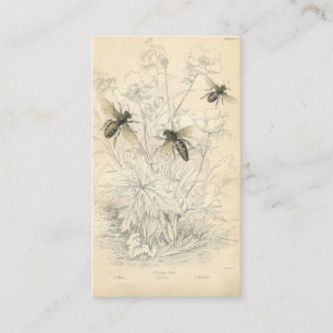 Vintage Honey Bees Drawing, Custom Business Card