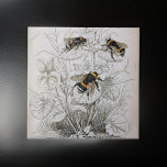 Vintage HoneyBee Illustration | Tile<br><div class="desc">Vintage HoneyBee Illustration | ceramic tile 
Vintage nature illustration of the humble honeybee 
Faded ivory backdrop penciled drawing with black and yellow striped honey bees feeding on pollen</div>