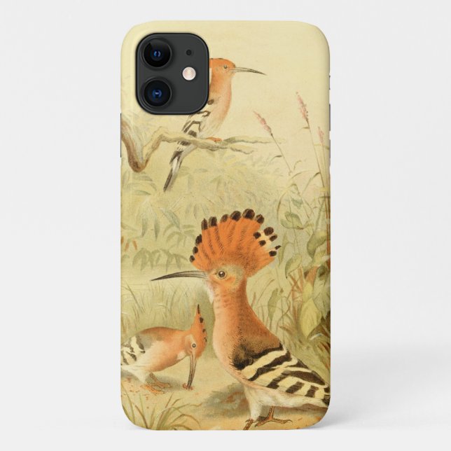 Vintage Hoopoes Case-Mate iPhone Case (Back)