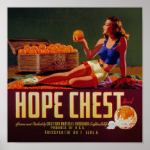 Vintage Hope Chest Brand Oranges Fruit Label