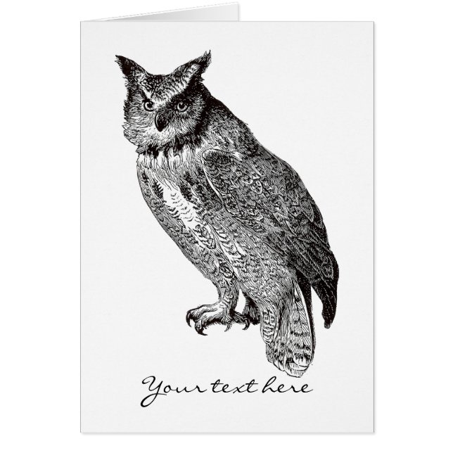 Vintage Horned Owl (Front)