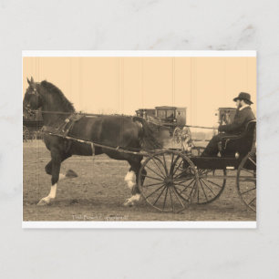 Vintage Horse and Carriage in Sepia Postcard
