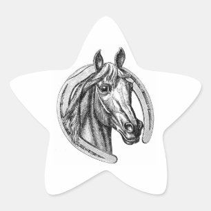 Vintage Horse and Horseshoe Star Stickers