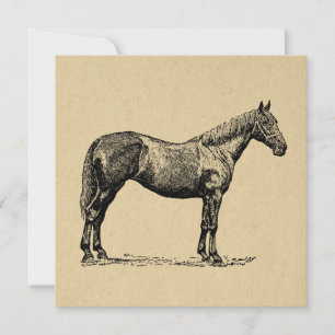 Vintage Horse Art Illustrated Equestrian Art Card