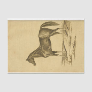 Vintage Horse Ephemera Decoupage Tissue Paper