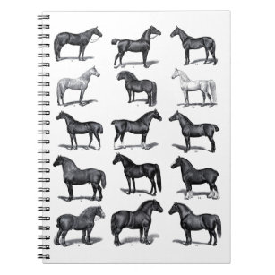 Vintage horse illustration equestrian horse riding notebook
