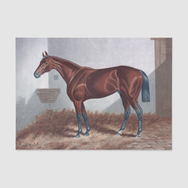 Vintage Horse in Stable Decoupage Tissue Paper (Front)