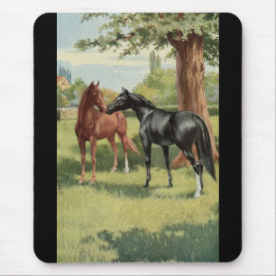 Vintage Horse Mare Stallion Equestrian Mouse Pad