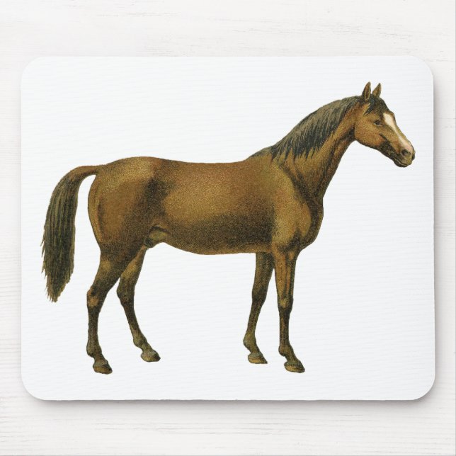 Vintage Horse Mouse Pad (Front)
