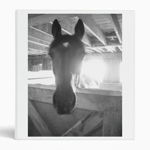Vintage Horse Photo Binder