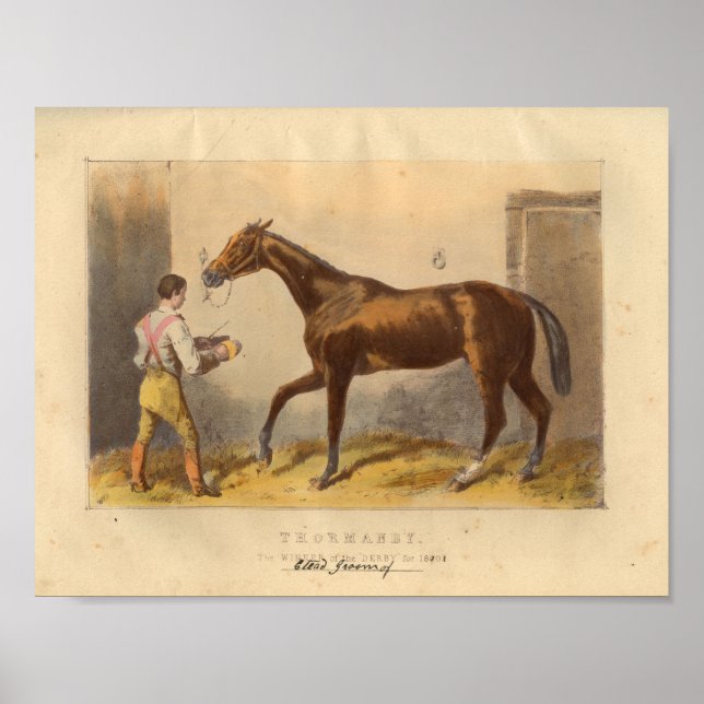 Vintage Horse Print 1873 Thormanby (Front)