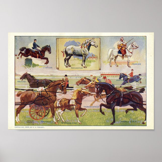 Vintage Horse Print Various Breeds 1912 (Front)