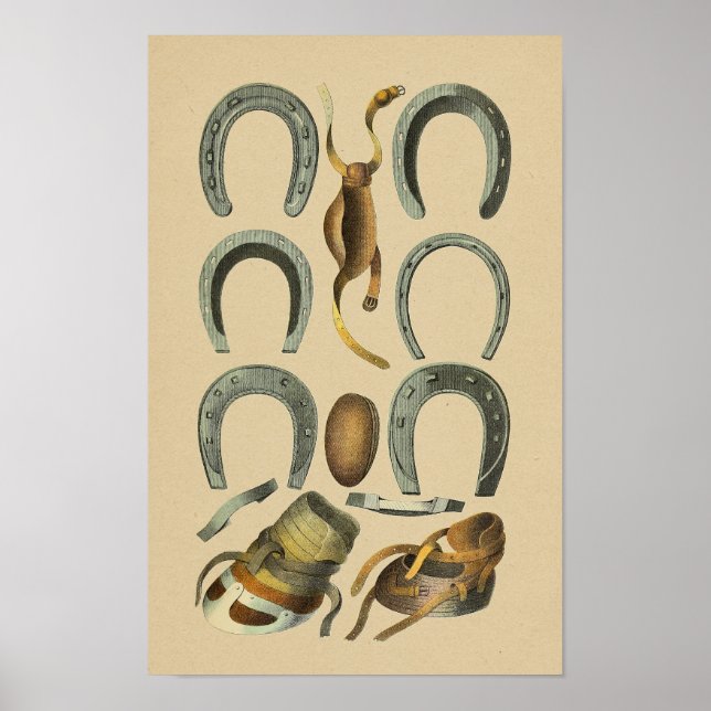 Vintage Horse Shoe Farrier 1898 Print (Front)