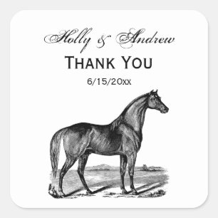 Vintage Horse Standing Square Sticker