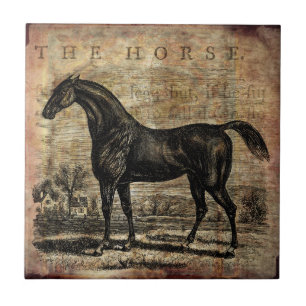 Vintage Horse Thoroughbred and Arabian Horses Tile