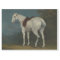 Vintage Horse Tissue Paper or Decoupage