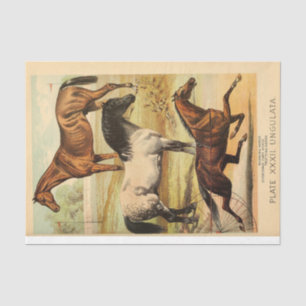 Vintage Horses Ephemera Decoupage Tissue Paper
