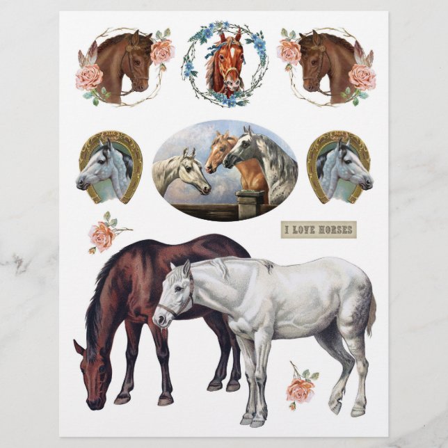 Vintage Horses from Victorian-era Postcards (Front)
