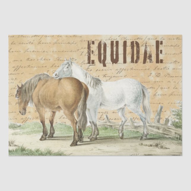 Vintage Horses in Pasture Country Tissue Paper (Front)