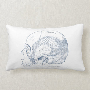 Vintage Human Anatomy Drawing Temporal Muscle Blue Lumbar Pillow